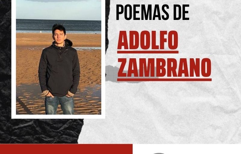 Colección de poesía: Adolfo Zambrano